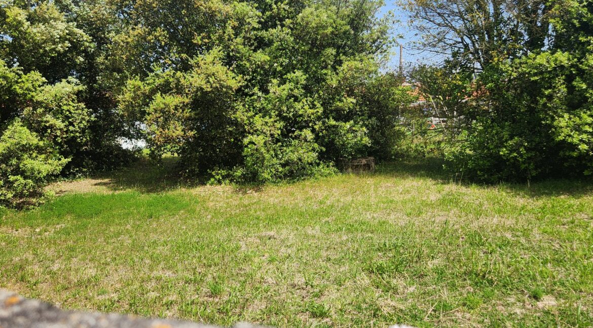 20260519_145157 (1)